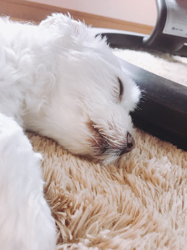 Go_Jin0's tweet photo. (행복해요 https://t.co/nXmvqdTXAu
