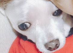 Go_Jin0's tweet photo. 힝 https://t.co/3XKwP7XdQ3
