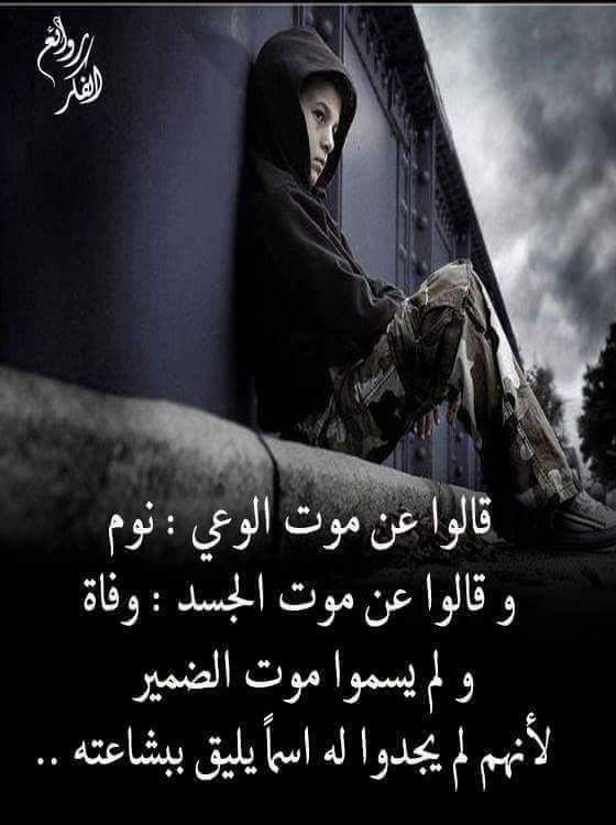 زهرة النرجس (@qhdalidx) on Twitter photo 