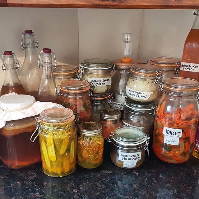 portobellowild's tweet photo. The #fermentation fascination could be getting slightly out of control 😂. I'm keeping #Kilner in business with all the jars... https://t.co/nUxWoPmc4X https://t.co/W5vPrUMd3C