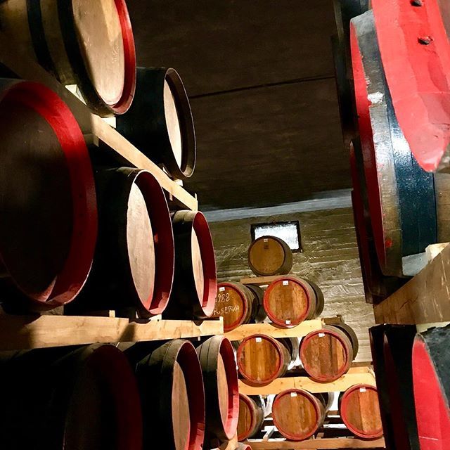 MarilenaLeta's tweet photo. Il mio โdietro le quinteโ... #debartoliback #Samperi #marsala #marsalalover #bottaia #cantina #myjob #winephotography #instawine #instamood #igers #igers #igersmarsala #nofilter https://t.co/H4TSd2DtQU https://t.co/PzITmhfYai