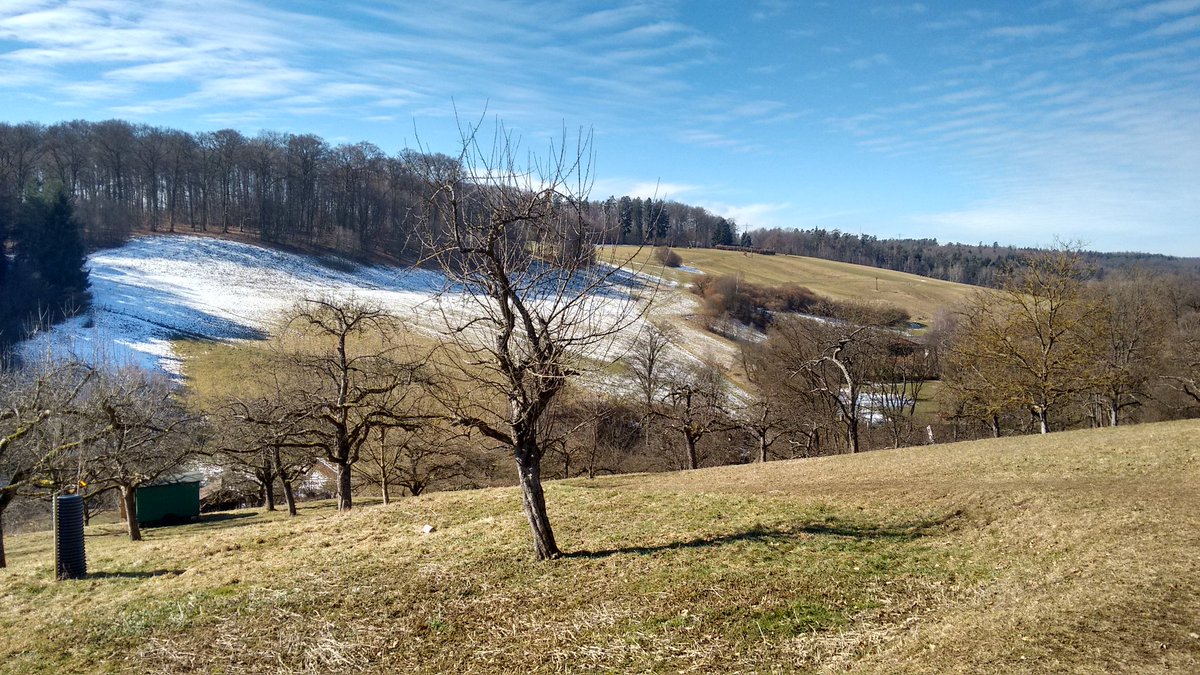 earlybird445's tweet photo. Vor 50 Jahren gab es hier am Rande von Stuttgart ein kleines Skigebiet mit Skilift, Skisprungschanze und Loipe. Heutzutage undenkbar. Lokale #Klimawandel Auswirkungen #Musberg #PizMus https://t.co/S12uP3XTeO