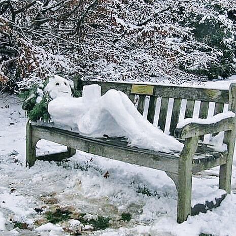 vanDerBlije's tweet image. #Buitenhof ja hoor daar istie weer de # LL van #Witteman de ingezakte man met de #CDA mannetjes maker, gaan ze het nu ook hebben over#henkbleker “de arrogante” die de #Oostvaardersplassen #OVP als een #concentratiekamp hebben gemaakt? Zij moesten zich doodschamen #europa? #EU?