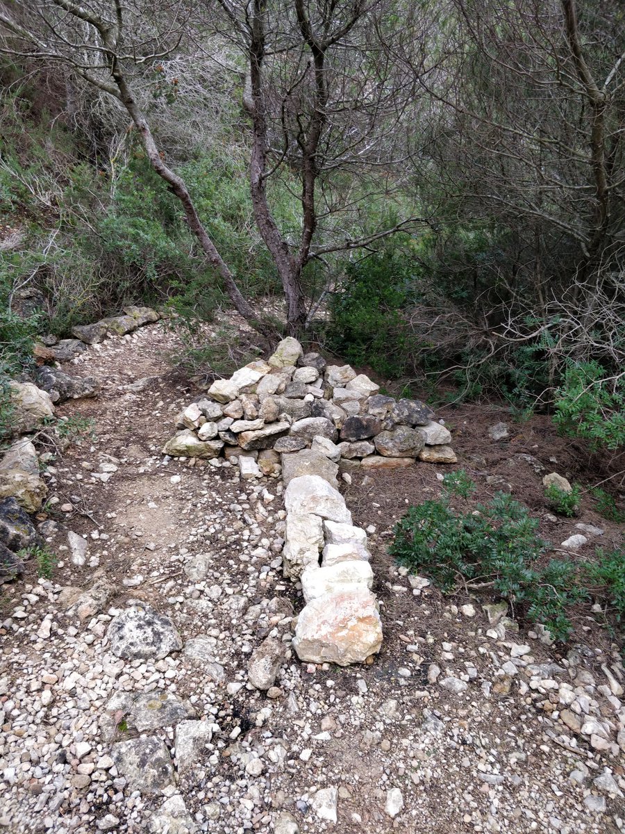 RunIbiza's tweet photo. Hmm which way should I go?? That moment when the trail shows you a sign 😉🤗

Guided trail runs in Ibiza - let us show you the way! #ibizawinter #trailrunning #vivobarefoot #adventure  #getoutside #HalfMarathon #runchat https://t.co/YTqGX33D8g