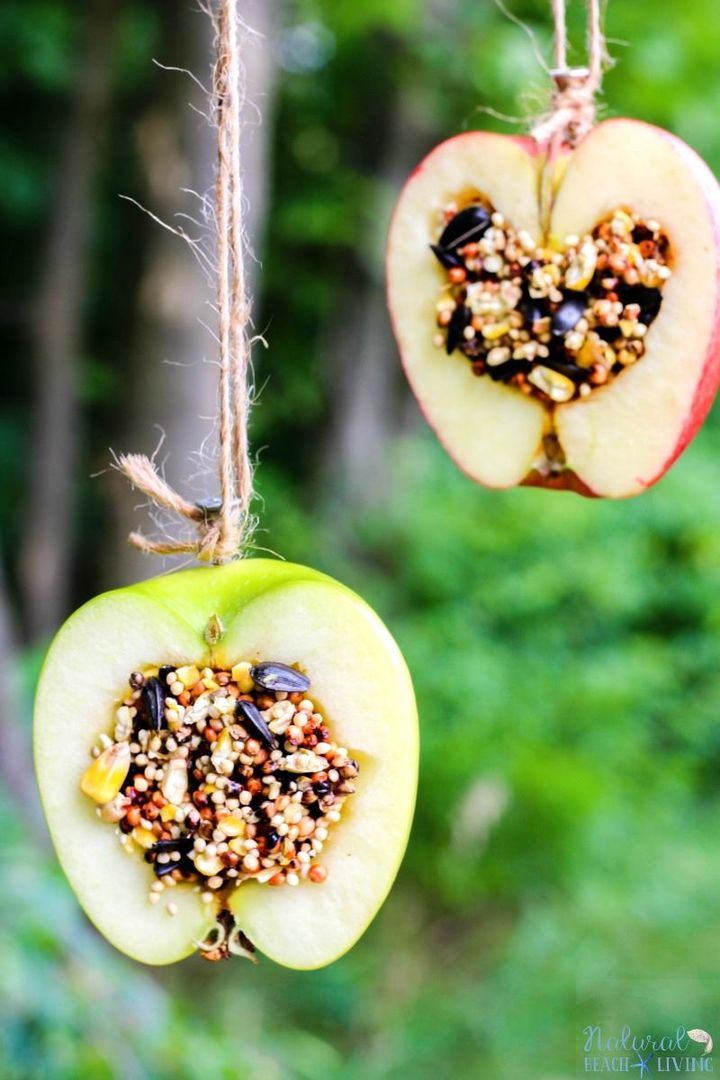 Natural Beach Living On Twitter How To Make Apple Birdseed