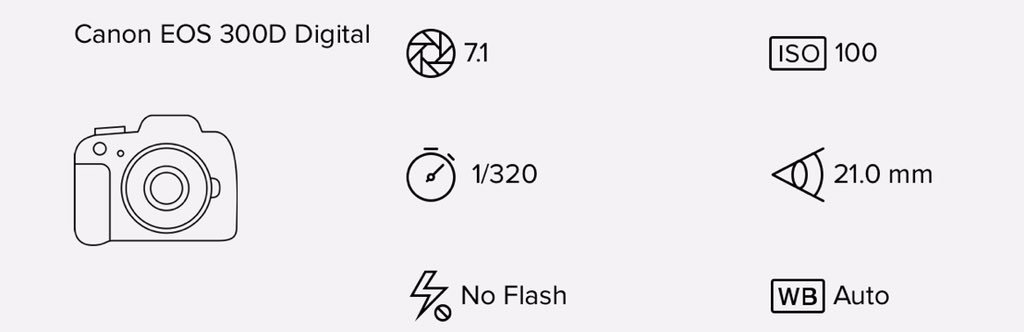 💤𝐃𝐀𝐕𝐎🇦🇺 tweet media