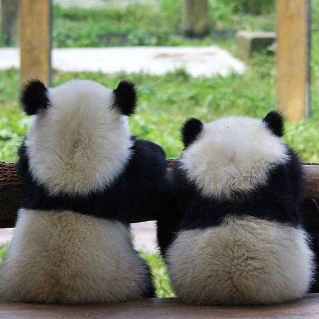 DireccionRodri's tweet photo. Sunday mood... https://t.co/S1hdeXx4jJ