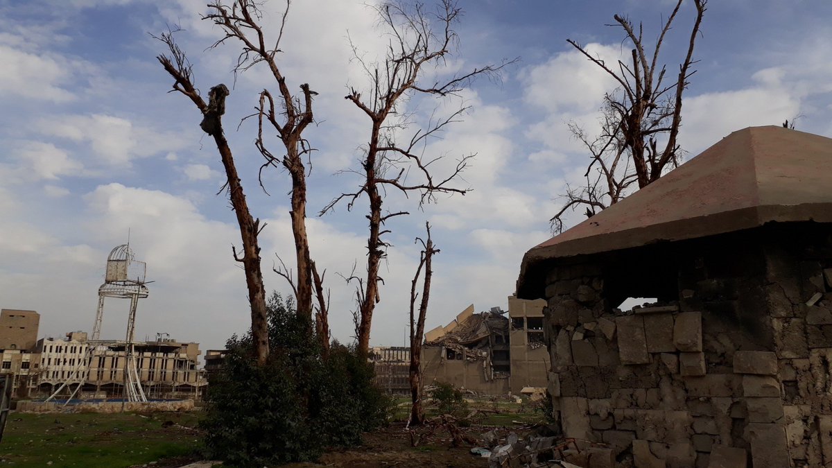 HusseinMosul's tweet photo. خضر ربيع مدينة الموصل وما تزال صور الدمار قائمة في المدينة.
- الصور التقطتها اليوم من حديقة باب الطوب، مركز مدينة الموصل
- Photos from Mosul city center.
#mosul
#rebuildmosul https://t.co/KRSewvjyrC
