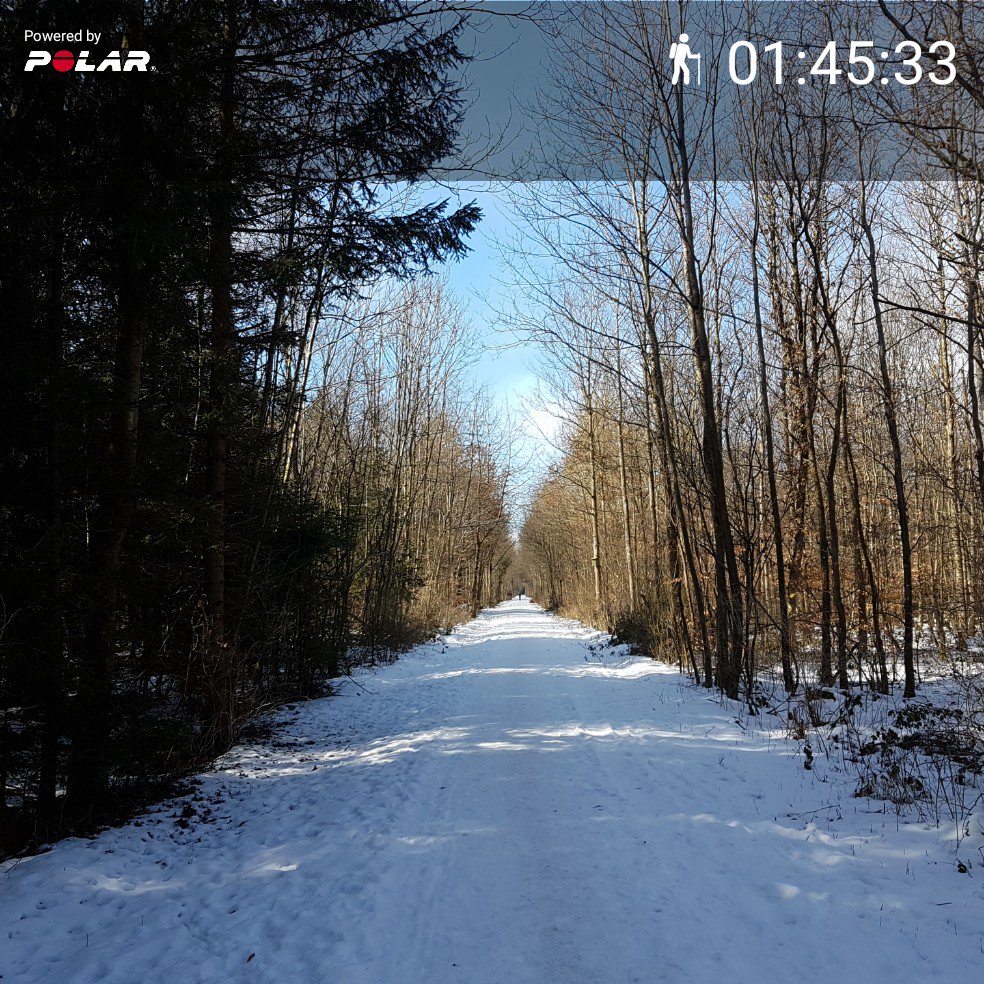 hoferbaer's tweet photo. #PolarM400 https://t.co/rlRgfV952F