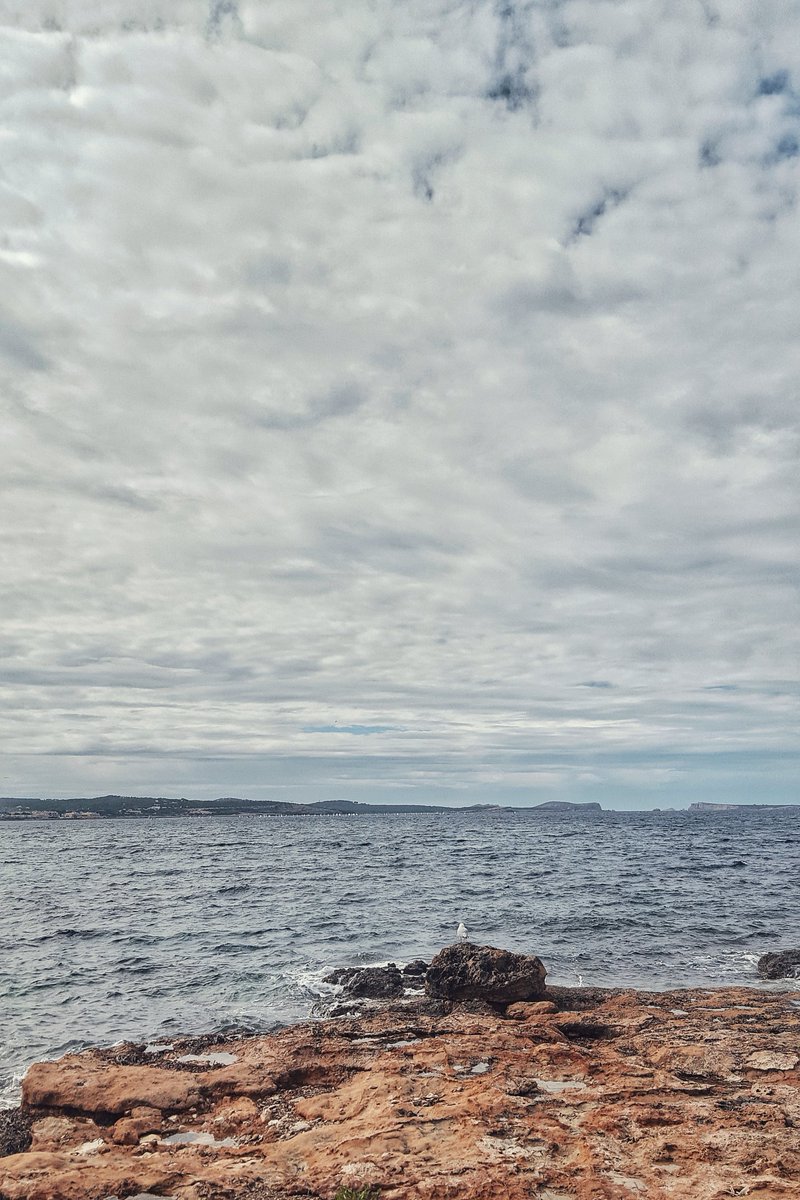 DjMiguelMartin's tweet photo. NOW IN SANT ANTONI
#ibiza #sea #landscape https://t.co/87MICJEdcf