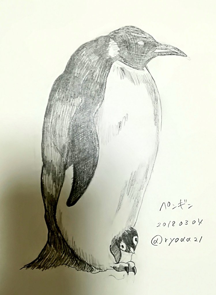 Shingai 引き続きペンギン 形といい 仕草といい 描いていて惹かれる要素満載でした そりゃ描く人多いわなぁと納得 W ペンギン 練習 参考 動物デッサンの基本 ナツメ社 Shingai 引き続きペンギン 形といい 仕草といい 描いていて惹かれる要素満載でした そりゃ描く人多いわなぁと納得 W ペンギン 練習 参考 動物デッサンの基本 ナツメ社