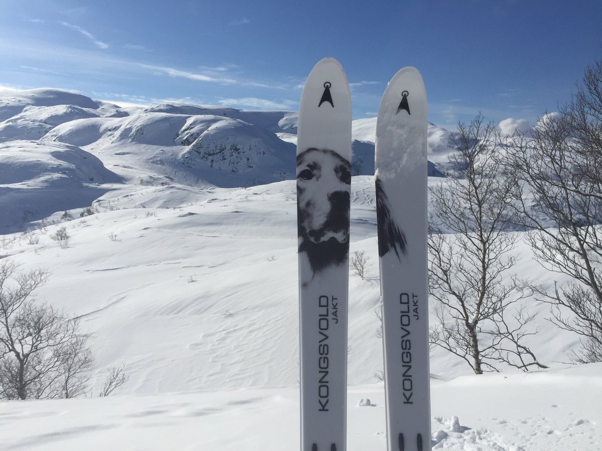 m_hairbay's tweet photo. #Vindstille, #ingen folk, #nysnø, #rypespor, #åsnes , #aasnes, #aasnesski, #kongsvoll https://t.co/8swYEyJTtD