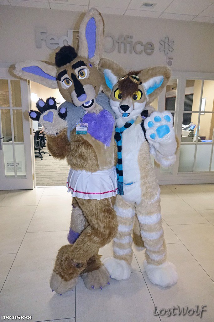 LostWolf321's tweet photo. It's @YonoaF & @NeonSlushie @Califur #CF2015 https://t.co/XY3PWWOU2G