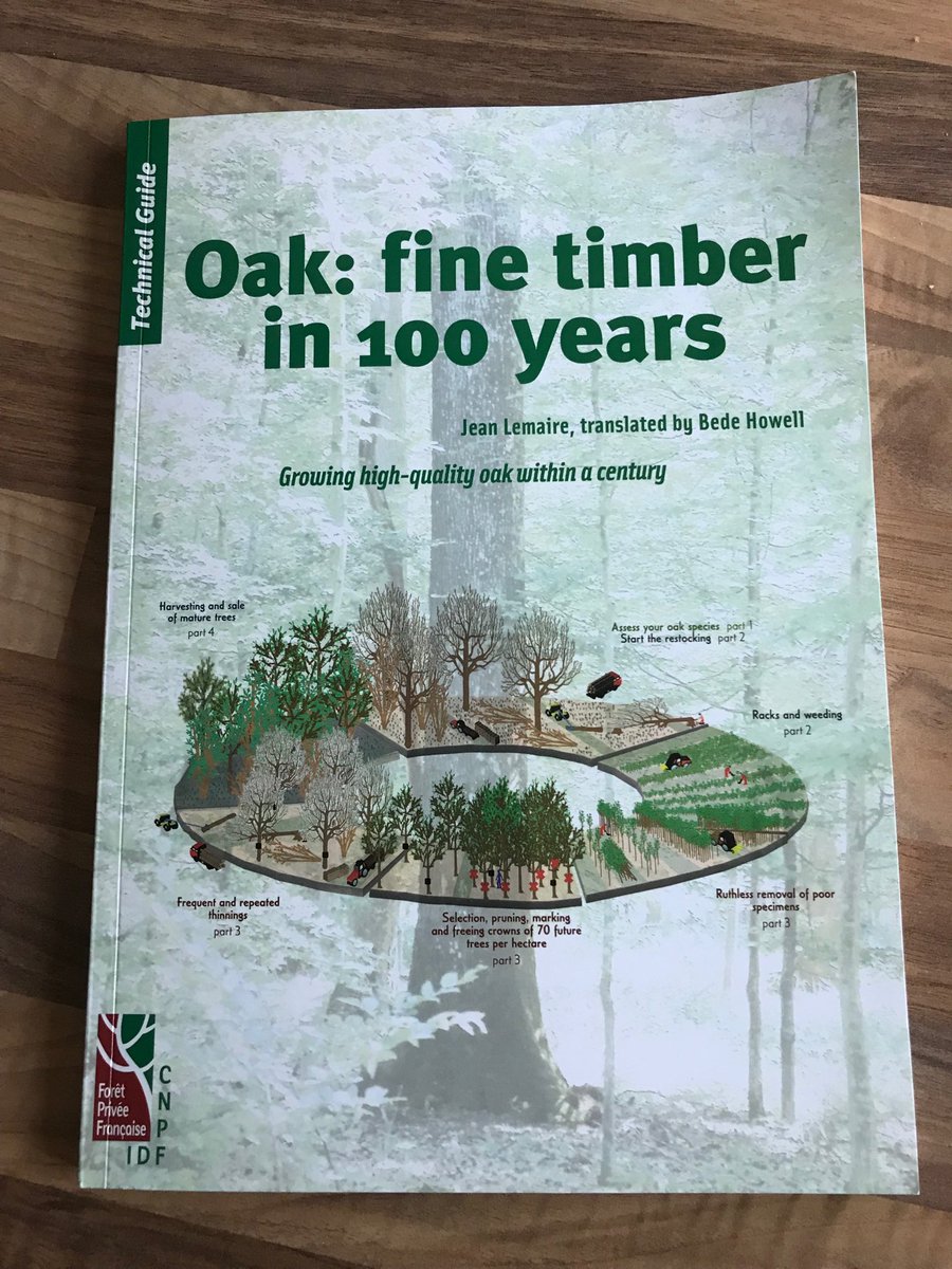 BioForestry's tweet photo. Time to get stuck in to this beauty! @WoodlandHerita1 @bettertrees https://t.co/kkpozT3Uji
