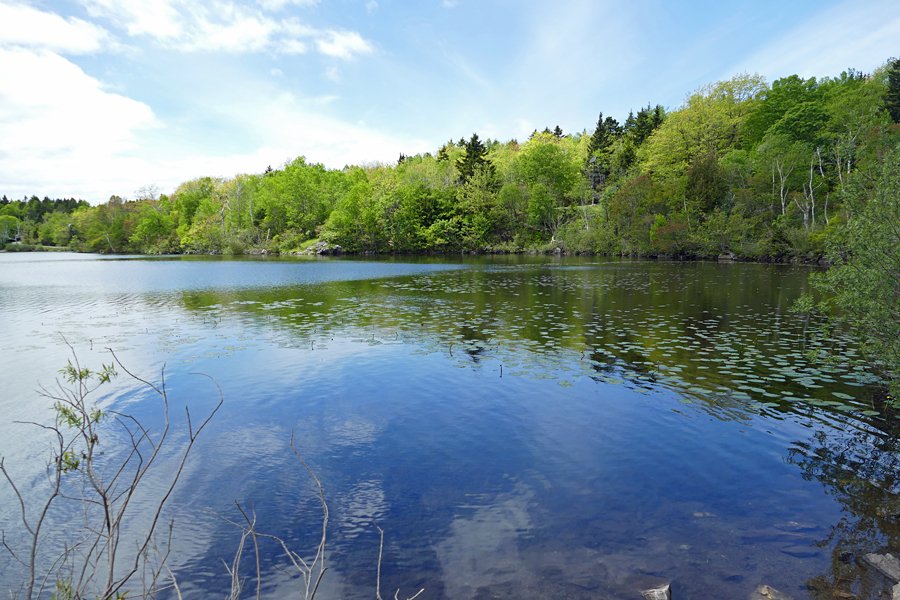 Top 10 Things to do in Saint John, New Brunswick @DiscoverSaintJohn #SaintAwesome #ExploreCanada #MyCanadianAffair travelwithkat.com/saint-john-new…