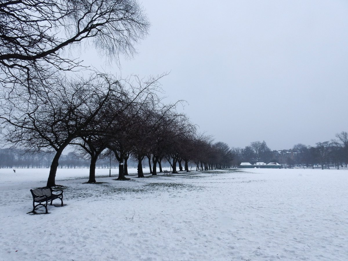 PhotoGoku's tweet photo. This is #CoronationWalk aka #SakuraWay at #MeadowsEdinburgh. It will be transformed by the cherry blossom over the next few weeks, how different it will look #EdinPhoto https://t.co/gIR0I9hfjY