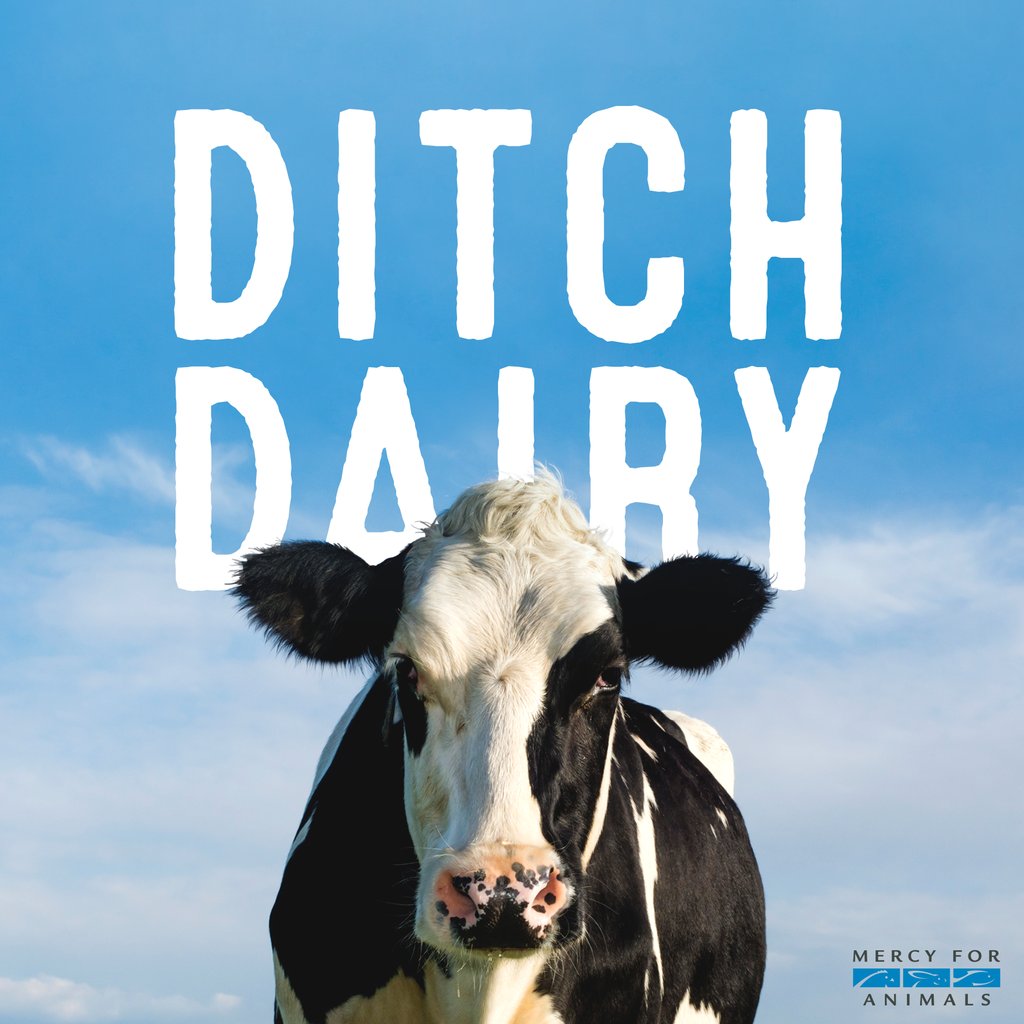 Mercy For Animals tweet media