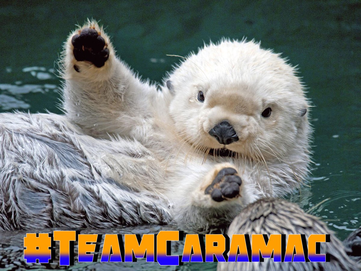 ➡️#TeamCaramac ⬅️

<a href="/TeamCaramac/">Bye</a>
<a href="/RunZwithDooBiEs/">🏆 𝘙𝘶𝘯𝘡𝘸𝘪𝘵𝘩𝘋𝘰𝘰𝘉𝘪𝘌𝘴 🏆</a>
<a href="/TheLoneWolF_1/">TheLoneWolF×÷·.·´¯`🐺</a>
<a href="/litebrite1234XO/">🌸Susan🌸</a>
<a href="/PrincessMajix/">🌹Ivy</a>
<a href="/nealhailey/">🌹nealhailey🌹</a>
@Christmas_Eve1
<a href="/witchhusband/">Julian Haynes</a>
<a href="/ReckleSium/">WrEck♠️leSs_-_[I]👨__[F]🚶‍♂️🏃‍♂️🏃‍♂️__[B]🔙</a>
<a href="/lionelitu/">Lionel itu</a>
<a href="/MarEthr/">👉 Mark 28K 😜👇</a>
<a href="/kittymayo7101/">#BossLady 👑</a>
<a href="/QueenScesie/">Scesie</a>
@lionesz5
<a href="/nakibukhari/">Mohammed Naki Bukhari</a>
@Tangerine2525
<a href="/1DGainDrive/">#1DGainDrive</a>

🏆#MortyFollowBoost🏆
