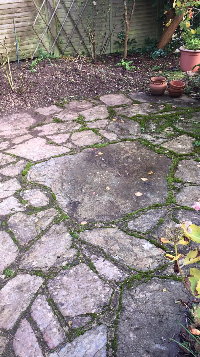 TheOldLibrary4's tweet photo. Is this a well? https://t.co/aMgBIscMs9