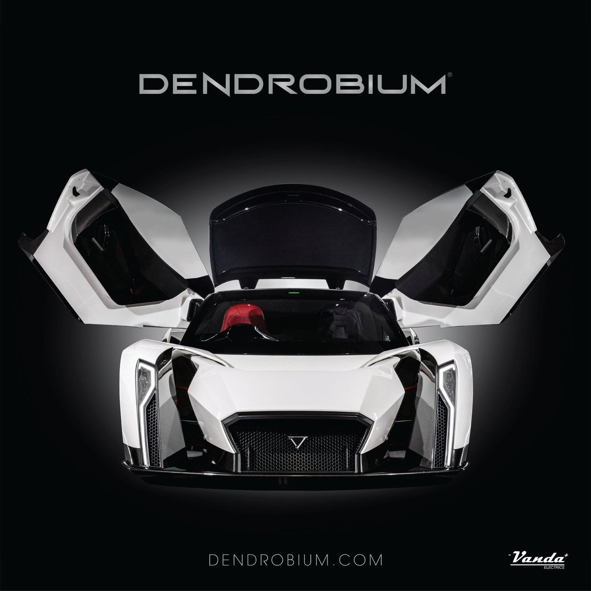 cloudsandfish's tweet photo. We will be exhibiting the Dendrobium at the National Museum of Singapore, as part of Singapore Design Week, from 5-18 March. See you there. https://t.co/wx9Q2QDh8Q