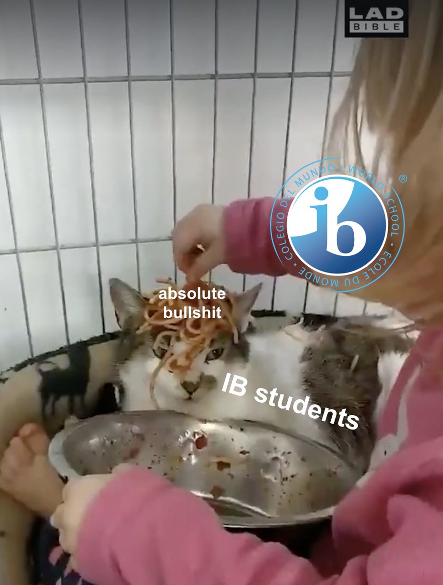 king_shanz's tweet photo. I saw this funny vid and exams are coming really soon and I'm stressed so I made this quick edit, now I'm going to get back to (trying to) study, thxs #IB #tragic #IBlife #IBmemes https://t.co/QiC7wcdERe