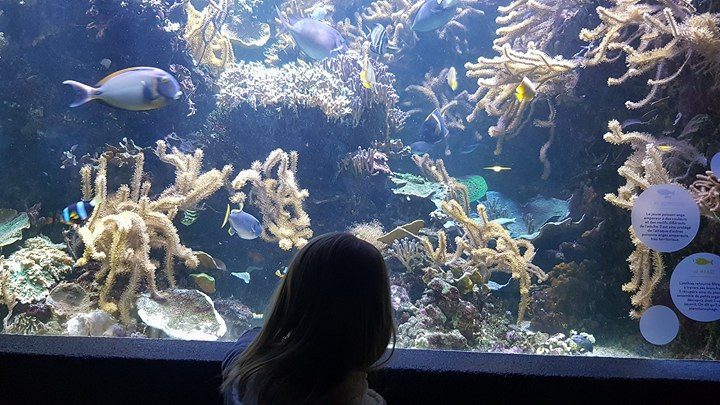 _justabreak's tweet photo. L’Aquarium ou LA bonne idée du dimanche pluvieux https://t.co/JZ7OKkHY7p https://t.co/WDz2dU9SAU