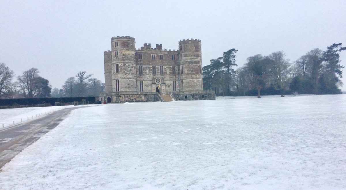 Bestival tweet media