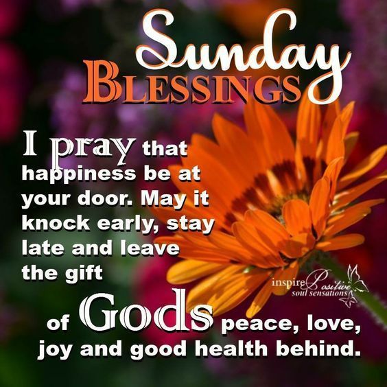mbryant68's tweet photo. Have a Blessed Sunday #DrMarciBryant #PowerUp4Success https://t.co/79pv18KYSr