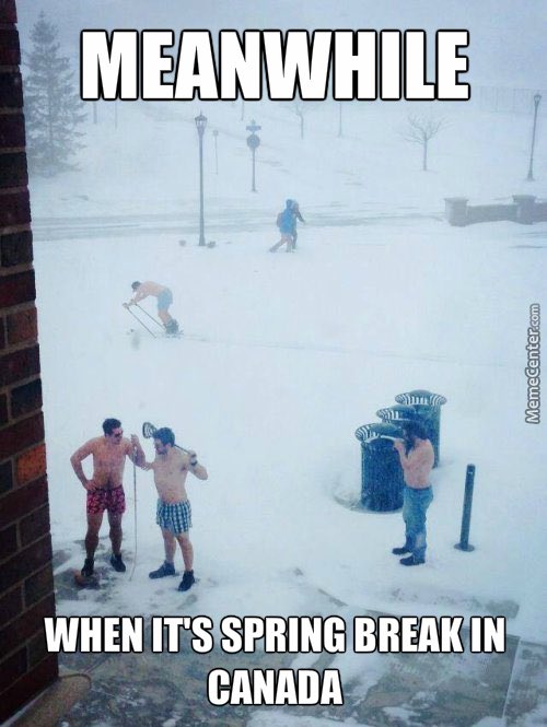 JMUPartyProbz's tweet photo. 😂😂 #SpringBreak2018 https://t.co/sWERHP9bxg