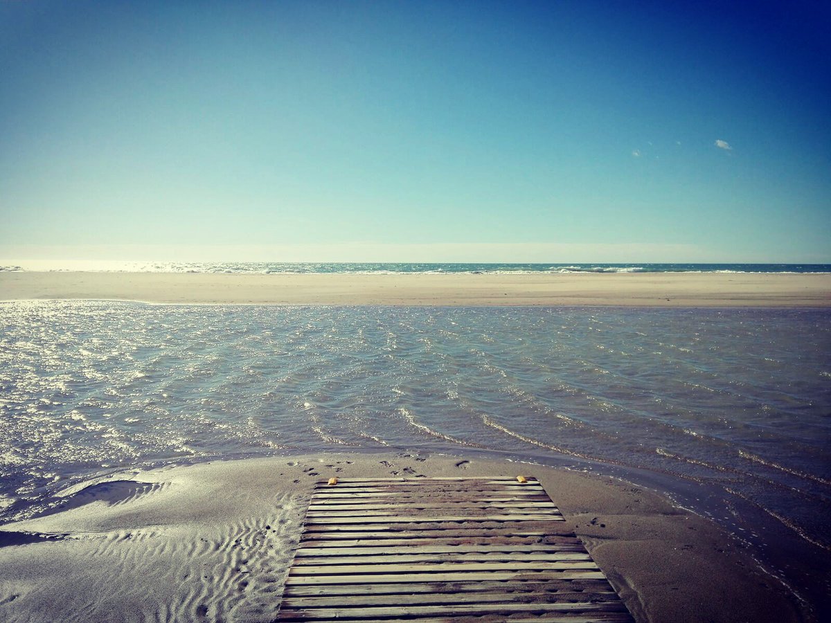 geopaseos's tweet photo. Bellesa litoral
#geopaseos #platja #natura #castelldefels #solivent #sorrafina #equilibriambiental https://t.co/WU675D7xcL