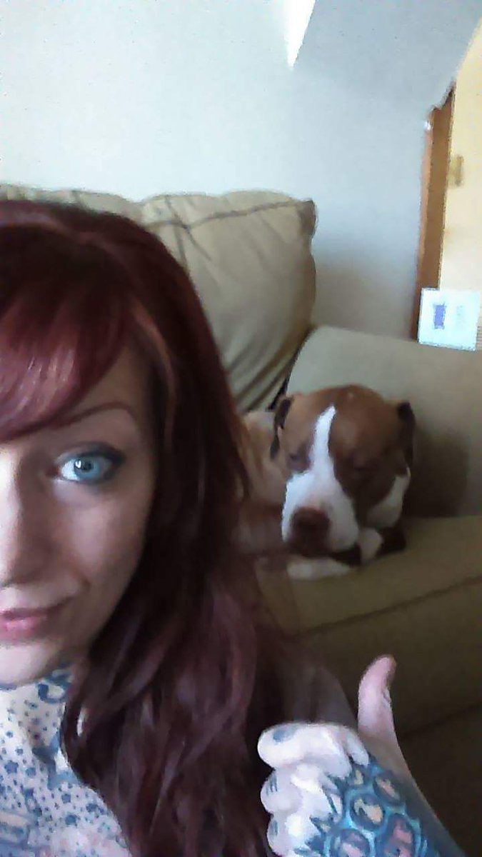 AnnaDisgusting's tweet image. This is what happens when the Burnaby can't hang I am awake and he is sleepy puppy... @Pinups4Pitbulls