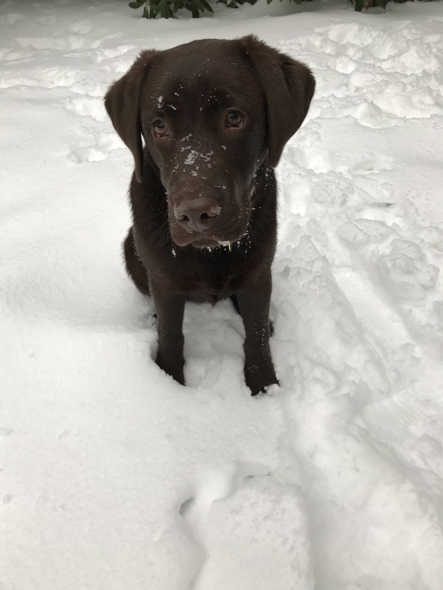 Really not sure about all this white stuff!!!!