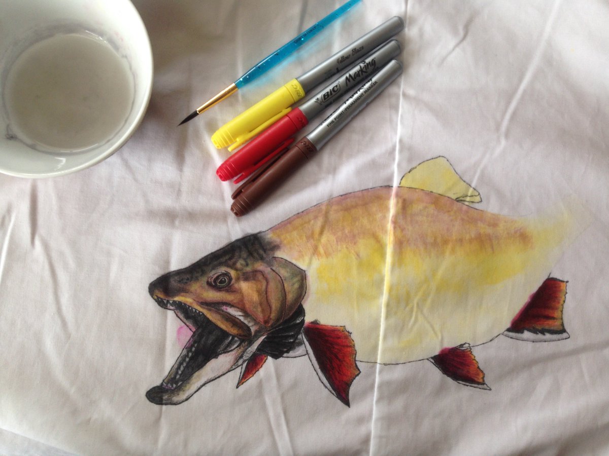 DugongWong's tweet photo. Couple #SundayFishSketch creations for today:

First is an in-progress #labcoat creation of one of my favourite species. Anyone know what it is?

Second is the #Greenback #Walleye. https://t.co/zPI6GFmMls