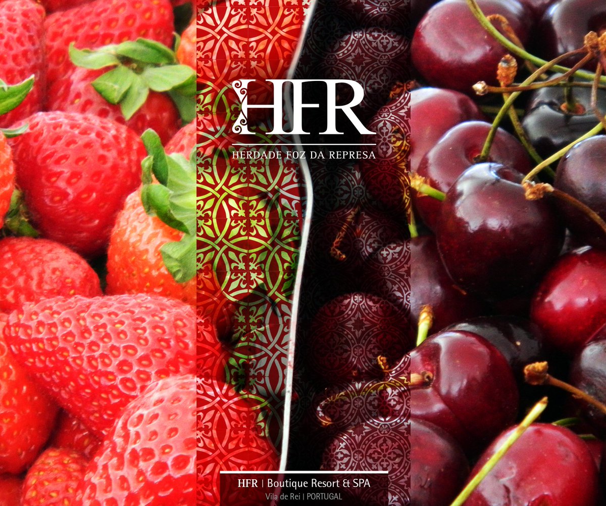 HerdadeFozdaRep's tweet photo. Celebrate your Senses
Taste Homegrown fruit
https://t.co/XjQtB0XML3 
#travel #Foodies #Luxury #Portugal https://t.co/10jtKytrcE