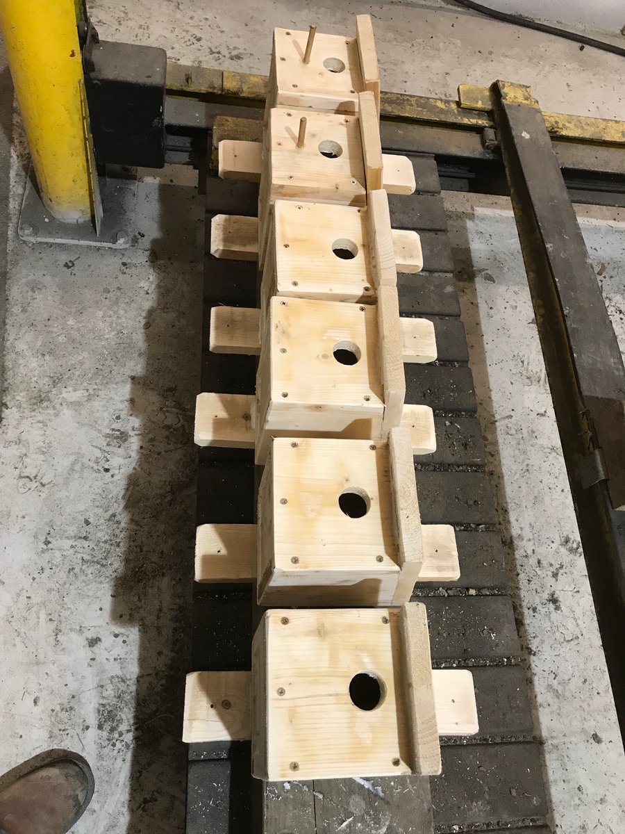 ultimapaul's tweet photo. 6 new luxury homes completed this afternoon ready for erecting next week. #diyfarmer #birds #helpinghand #birdnestbox Shame not ready for #BeastFromTheEast but #BetterLateThanNever https://t.co/Wbq0LsZCJ3