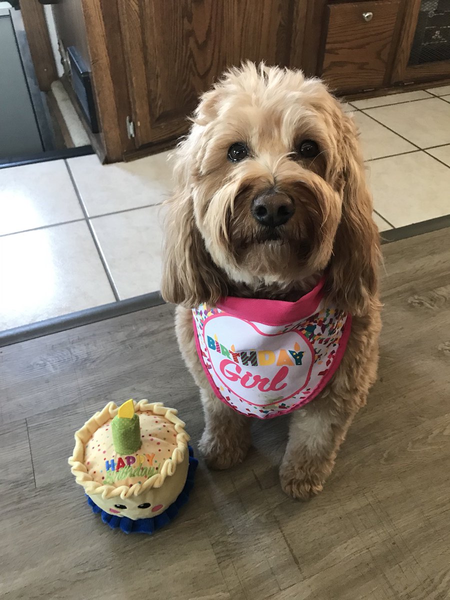 amydenney's tweet photo. Rylee is 5!!  Everyone knows she’s one of a kind 💗💗 https://t.co/aw2phG98td
