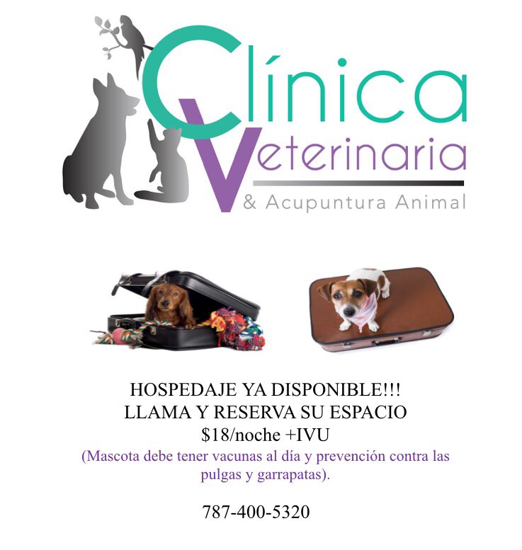 cvacupr's tweet photo. Hospedaje ya disponible!! #gurabo#puertorico#boarding#cvacupr#apoyandolonuestro #happypet https://t.co/buGOu5qc13