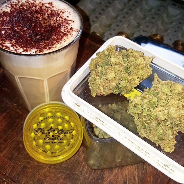allweednews8's tweet photo. Sunday vibes! #allweednews #rawlife #strainhuntertours #bestnugs #weedstagram420 #cannabiscommunity #w420 #wfayo #DabEasy #OSTF #greenhouseseeds #strainhunters #theweedclub #marijuana #nature #love #mmjgirls https://t.co/eOCxIZ5yYB