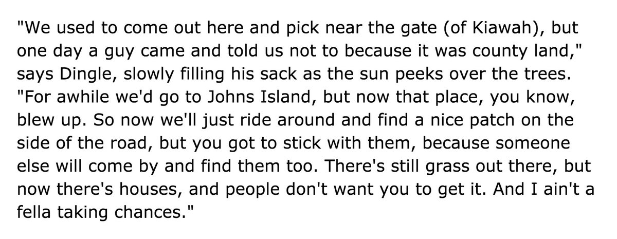 a quote from richard dingle (Gullah sweetgrass basket-maker / artist lynette youson's dad)