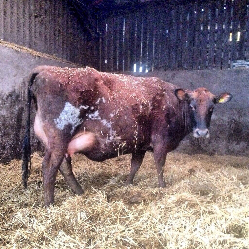 Meg Procter tweet media