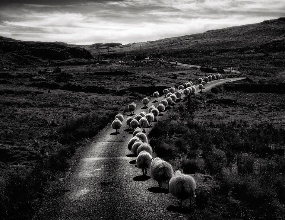 Brindille_'s tweet photo. Evening rush hour, Isle of Skye, Scotland, 2009
Graham Smith
#photo https://t.co/2UQPe11mmz