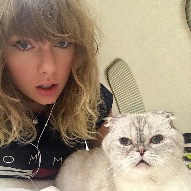 TSwiftLA's tweet image. 😻 RT TO VOTE 😻
Today is the last day to vote! 

#Olivia #CutestPet #iHeartAwards