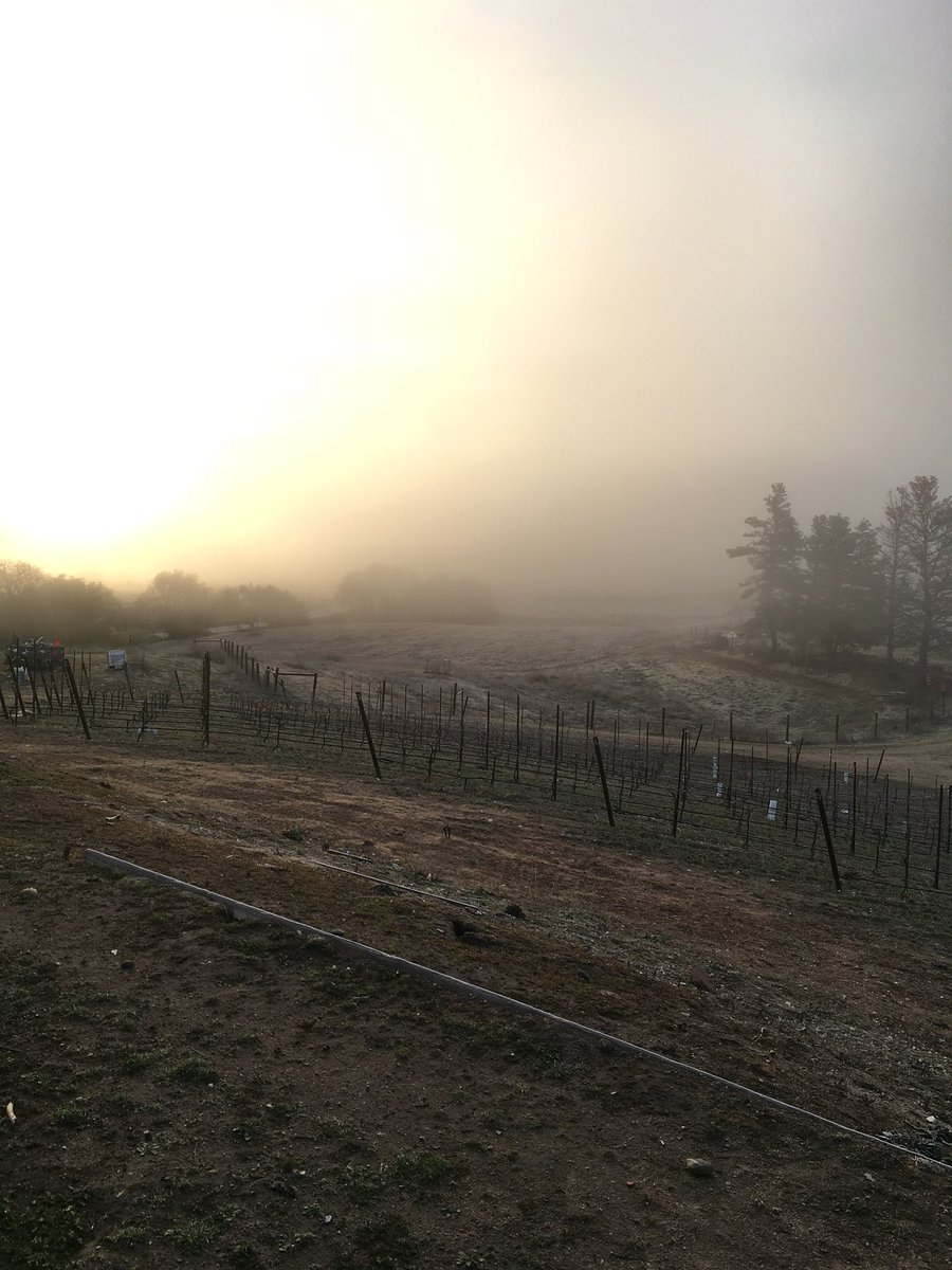 cripplerranch's tweet photo. #beonksby https://t.co/jZbQ71lIrz