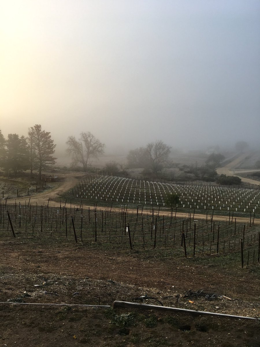 cripplerranch's tweet photo. #beonksby https://t.co/jZbQ71lIrz