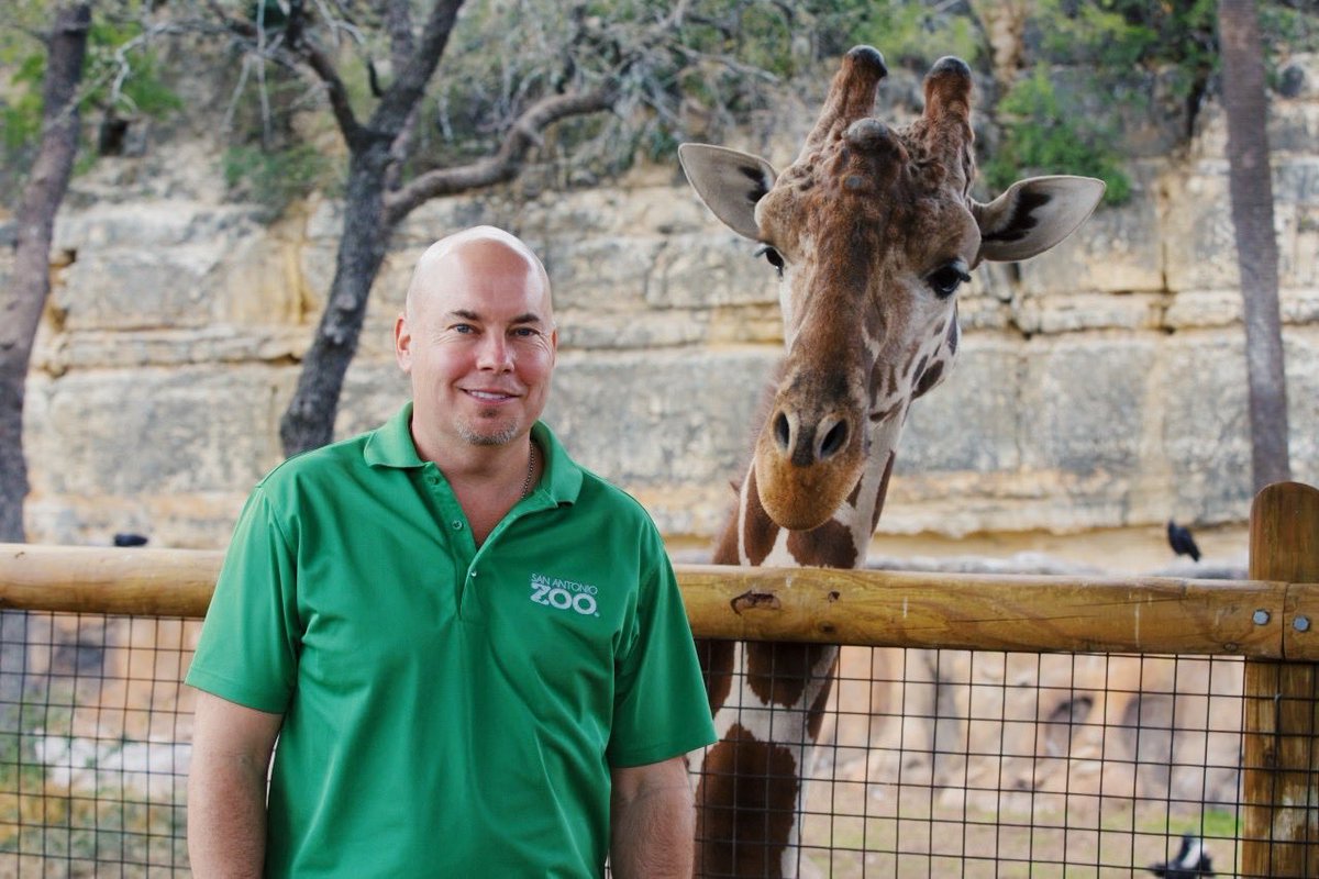 NsideMagazine's tweet photo. When Tim Morrow arrives to work each day, he’s greeted by some very interesting co-workers: some that can reach 18-feet tall, and others that walk on four legs and growl, hiss and roar. 🐍 @SanAntonioZoo https://t.co/wiLamveYjx