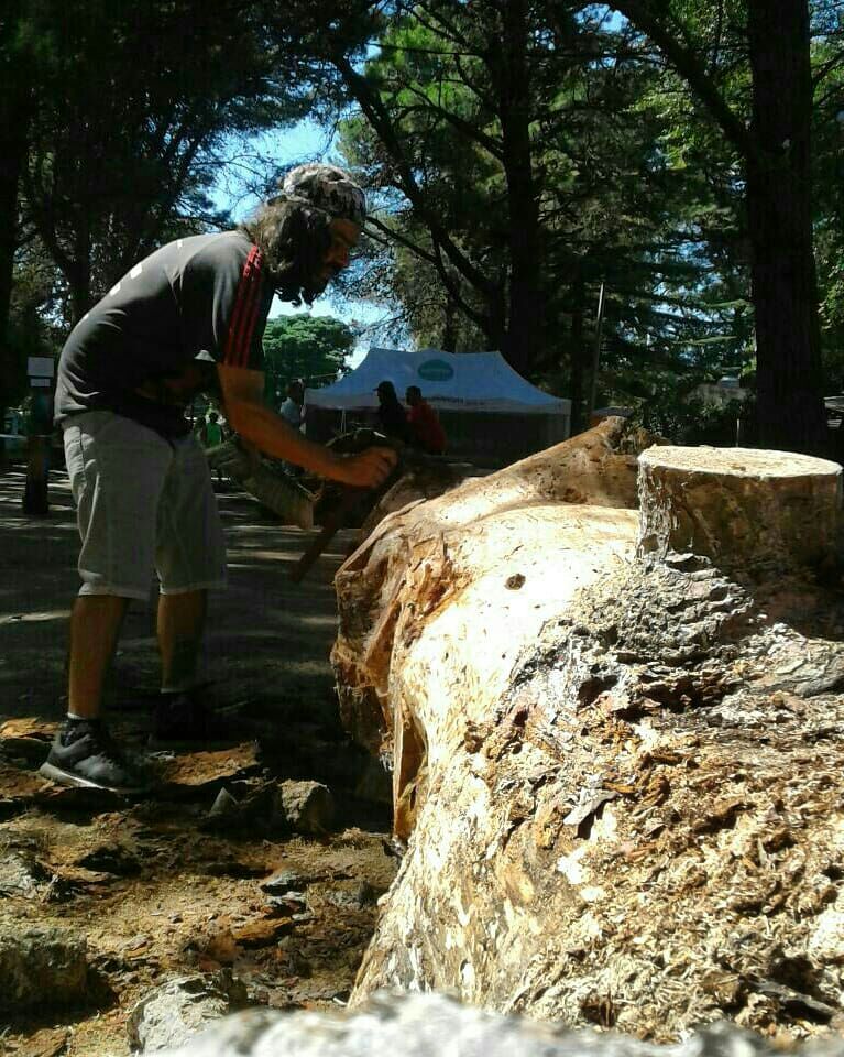 PehuenTurismo's tweet photo. 1º ENCUENTRO NACIONAL DE ESCULTORES EN PEHUEN
⚒👉Del 3 al 10 de marzo acercate a Villanueva entre Brown y Azopardo, de 10 a 13 y de 15 a 19hs.🌳
Podrás ver como #Escultores del país transforman la #madera natural, #tallando la #identidad de Pehuen. https://t.co/P4tEAL6imm