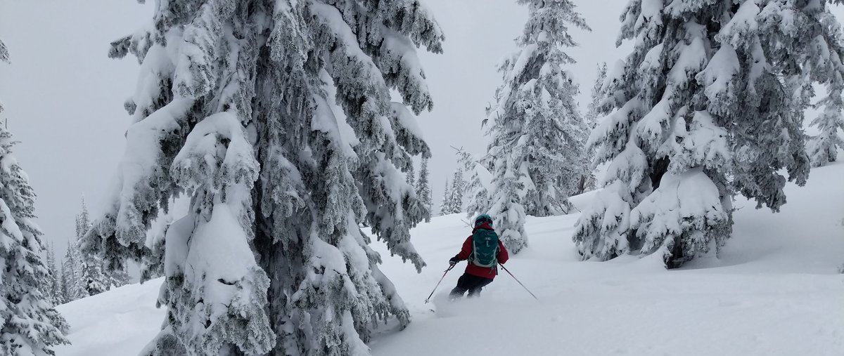 cmleider's tweet photo. What's a professor to do on #SpringBreak? Go powder hunting! #BritishColumbia #AdventureProfessor https://t.co/SzyaDX6LjW
