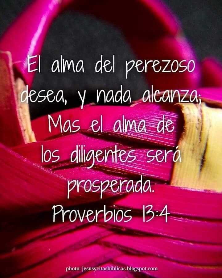 natiroro's tweet photo. El alma del perezoso desea y nada alcanza... https://t.co/WMsW2BN4Kb