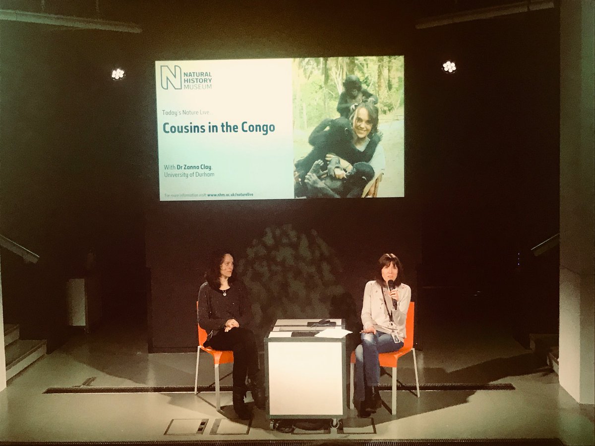 AnneSommerfield's tweet photo. Fantastic talk about Bonobos by @zannaclay at the @NHM_London today! Very inspiring stuff! https://t.co/RtFykNrVLG