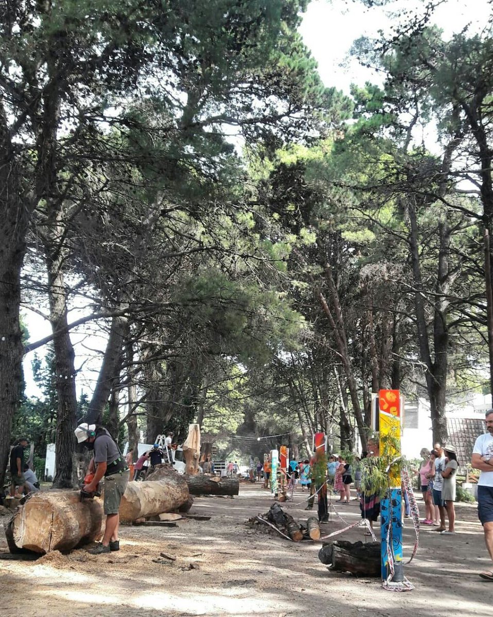 PehuenTurismo's tweet photo. 1º ENCUENTRO NACIONAL DE ESCULTORES EN PEHUEN
⚒👉Del 3 al 10 de marzo acercate a Villanueva entre Brown y Azopardo, de 10 a 13 y de 15 a 19hs.🌳
Podrás ver como #Escultores del país transforman la #madera natural, #tallando la #identidad de Pehuen. https://t.co/Oc9uIjzOwe